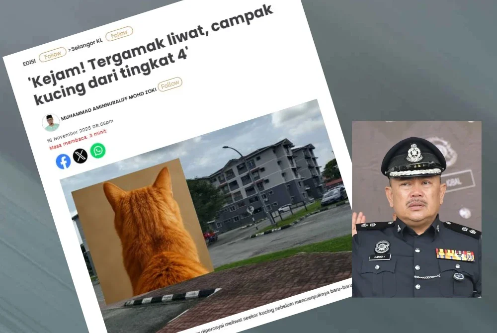 Laporan Sinar Harian berhubung perbuatan kejam, liwat dan campak kucing dari tingkat 4. Gambar kecil (Ramsay)