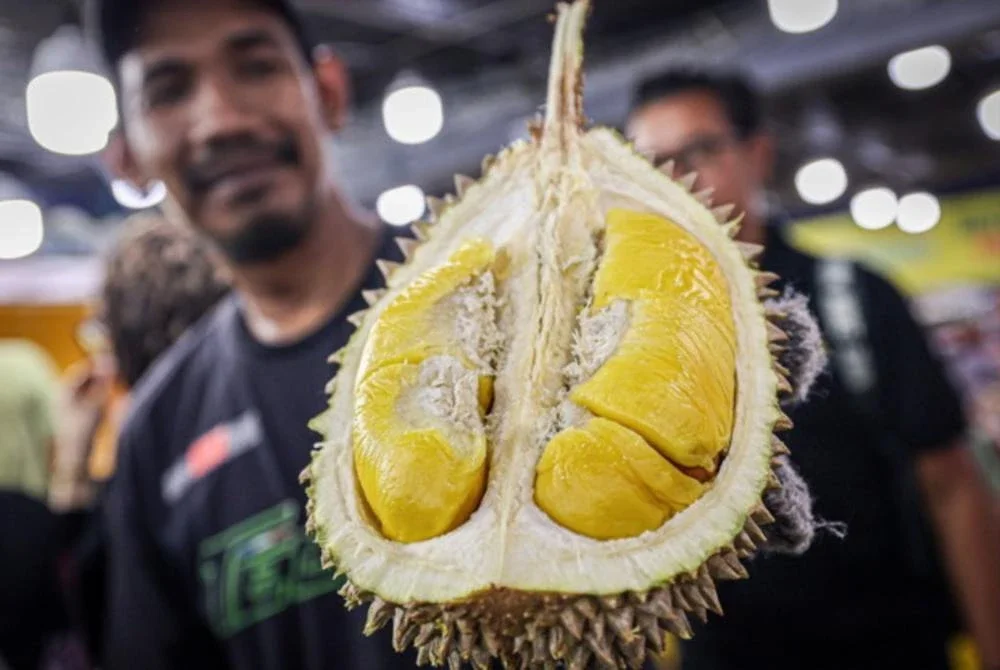 Cadangan pengeluar durian tempatan untuk mengangkat buah tersebut sebagai buah kebangsaan di Malaysia menimbulkan pertikaian negara jiran, Indonesia apabila mereka mendakwa lebih layak memegang gelaran tersebut. Foto hiasan