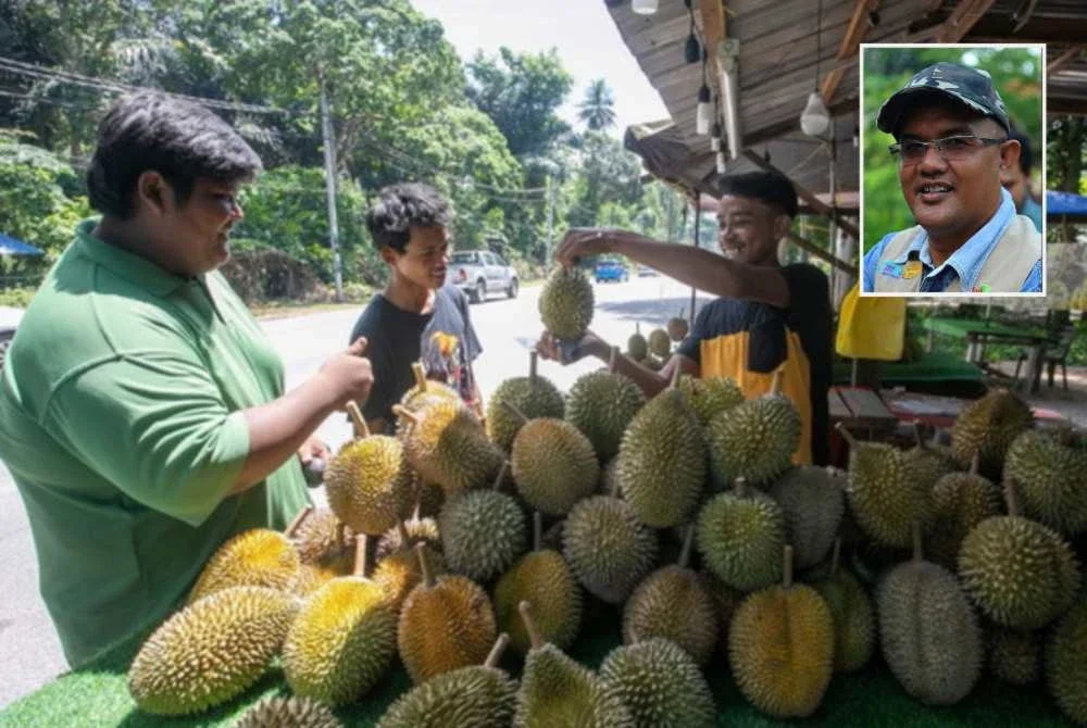 Malaysia, Indonesia, Thailand dan Vietnam mempunyai ekosistem geografi serta iklim sesuai untuk menjadikan durian sebagai komoditi bernilai tinggi. Gambar kecil: Nordin