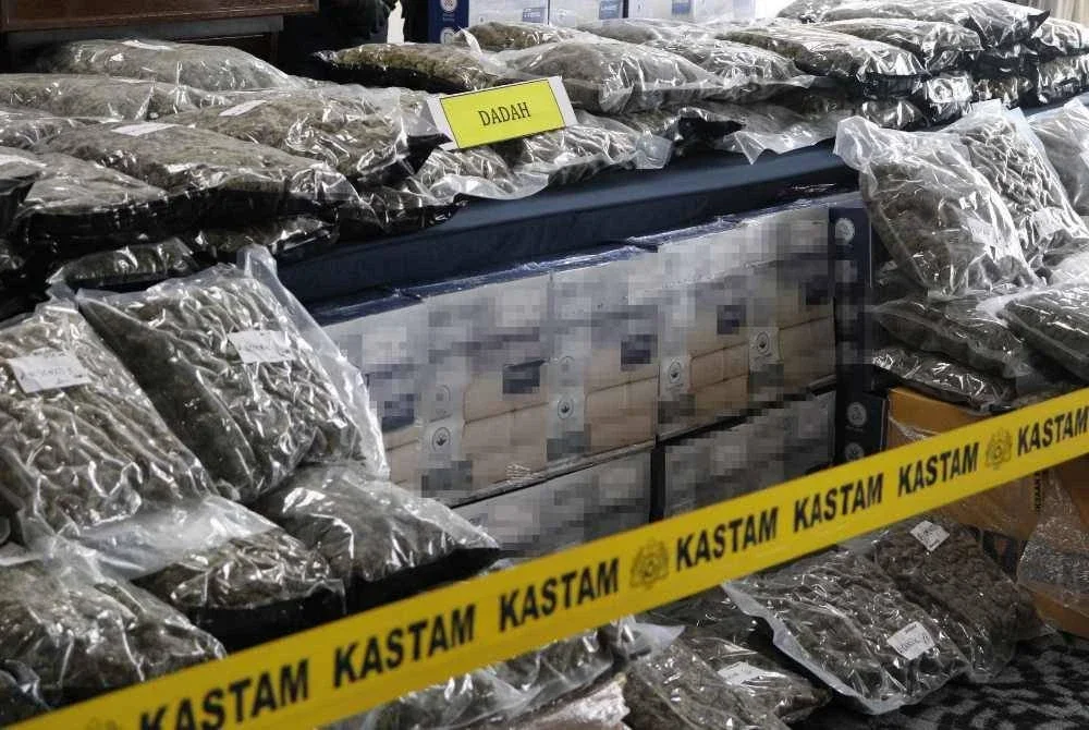 Antara dadah jenis bunga ganja yang dirampas JKDM tahun ini. - Foto JKDM