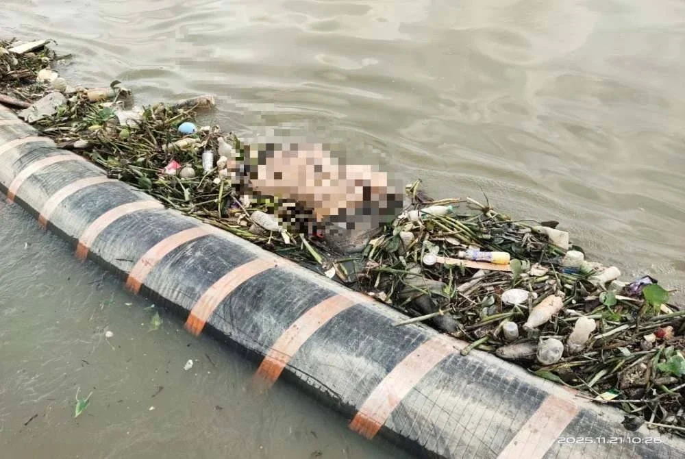 Mayat mangsa yang dijumpai di kawasan perangkap sampah sebelum diserahkan kepada pihak polis.