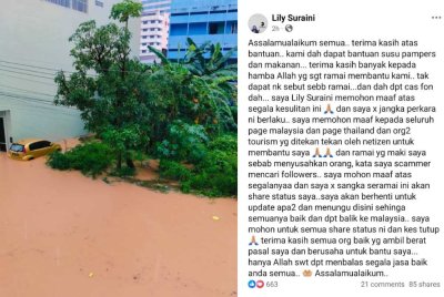 Tangkap layar hantaran Lily di Facebook pada Sabtu.