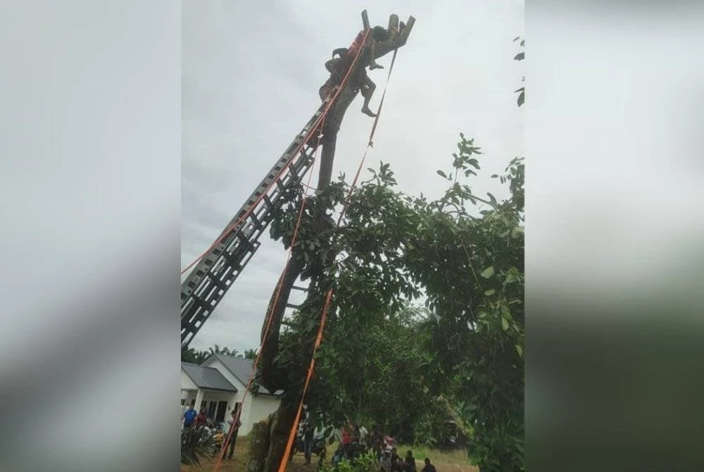 Mangsa dibawa turun menggunakan tangga sebelum diserahkan kepada pasukan perubatan untuk rawatan lanjut.