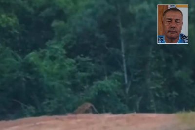 Video memaparkan kehadiran harimau belang di Kampung Bantal tular pada Sabtu. Gambar kecil: Hamdan