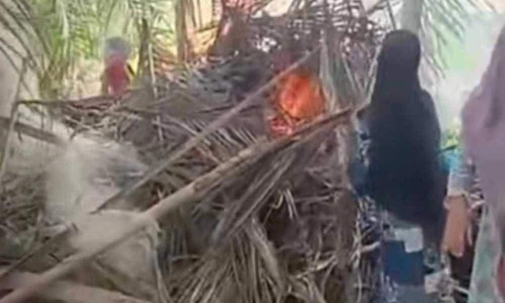 Sekumpulan wanita membakar pondok dipercayai menjadi sarang penagihan dadah di Dusun Pematang Langkat, Desa Pematang Cengal, Kecamatan Tanjung Pura. - Agensi