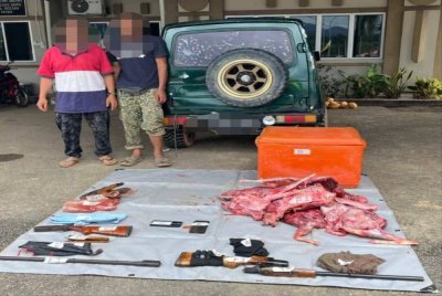 Dua lelaki yang disyaki pemburu haram ditahan di sekitar Gerik, Jumaat lalu. -Foto Perhilitan