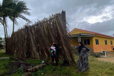 Pelepah kelapa menjadi 'penyelamat' untuk melindungi rumah dan kenderaan penduduk yang tinggal di pesisir pantai di Bachok apabila gelombang pertama banjir akibat hujan lebat yang melanda Kelantan ketika ini tertumpu di kawasan tersebut. - Foto Sinar Harian/Hazelen Liana Kamarudin