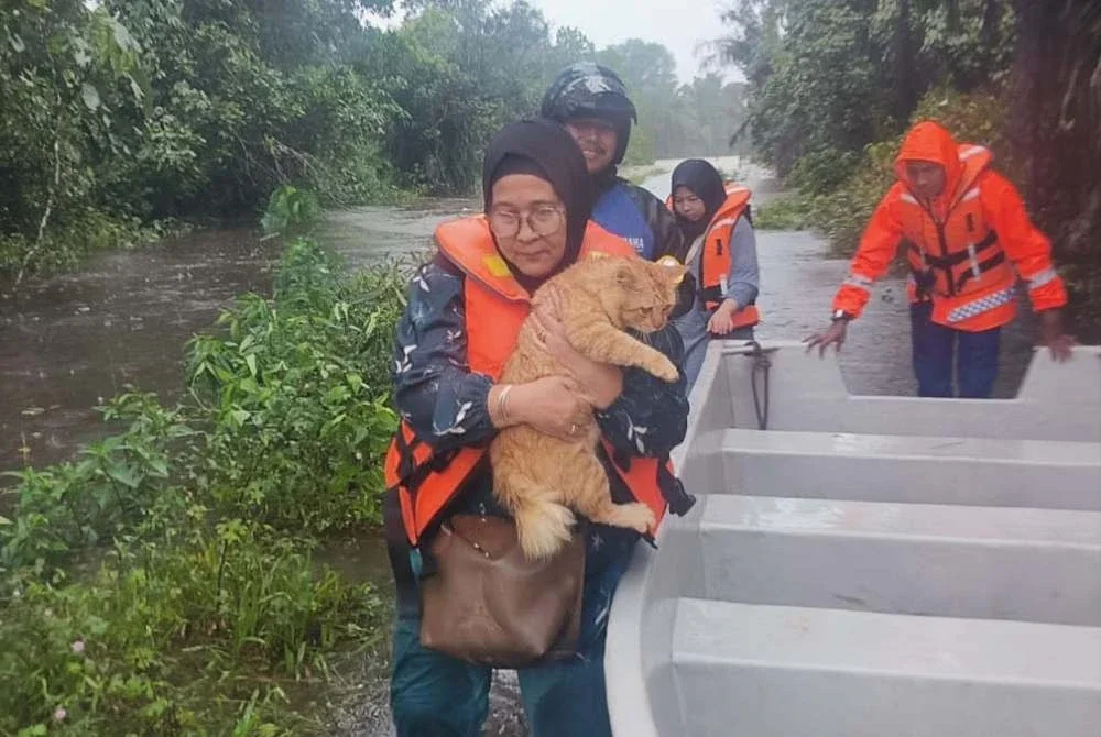 Anggota APM menyelamatkan seekor kucing yang terperangkap banjir di Kampung Paya Besar, Serada, Kuala Terengganu.