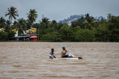 Keadaan sawah yang dinaiki air ketika tinjuan di Kampung Bakong, Arau. Foto: Bernama