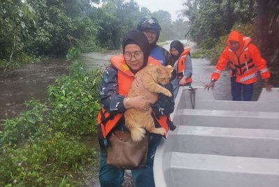 Anggota APM menyelamatkan seekor kucing yang terperangkap banjir di Kampung Paya Besar, Serada, Kuala Terengganu.
