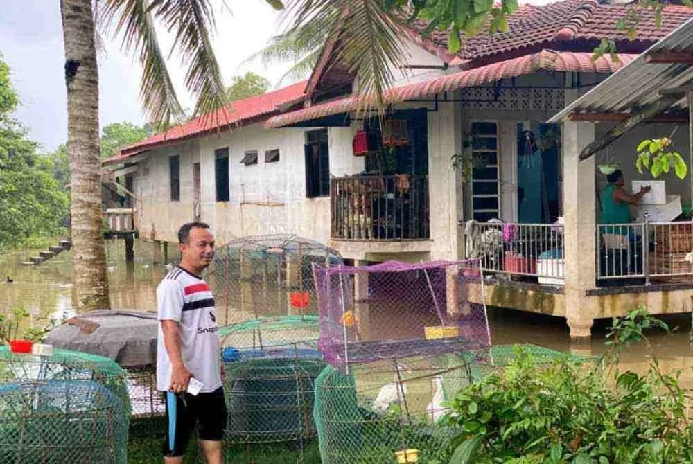 Mohd Hirwan memindahkan haiwan jualan ke tempat tinggi kerana kawasan di Tersang, Rantau Panjang sering dinaiki air sehingga paras 4 meter setiap kali musim tengkujuh. - Foto Sinar Harian/Hazelen Liana Kamarudin