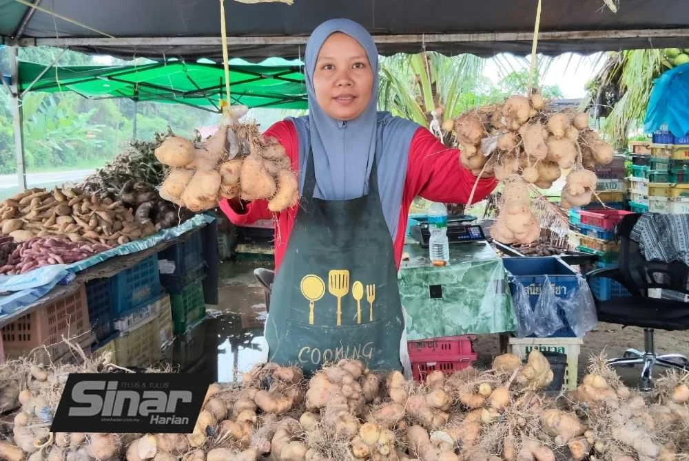 Nur Eerna Natasya berjaya menjual lebih empat tan pelbagai jenis ubi seperti ubi kayu, kembili, badak, dan keledek. Foto: SINAR HARIAN/HAZELEN LIANA KAMARUDIN