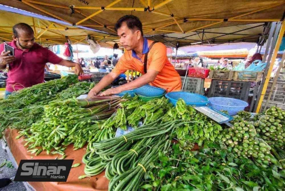 Yusri menyusun sayuran di gerai niaga di pasar tani Kuantan di sini, pada Ahad. Foto Sinar Harian.
