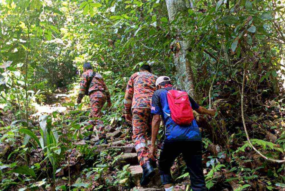 Anggota bomba ketika melakukan operasi SAR bagi mencari mangsa yang tersesat di dalam hutan ketika melakukan aktiviti mendaki bukit.