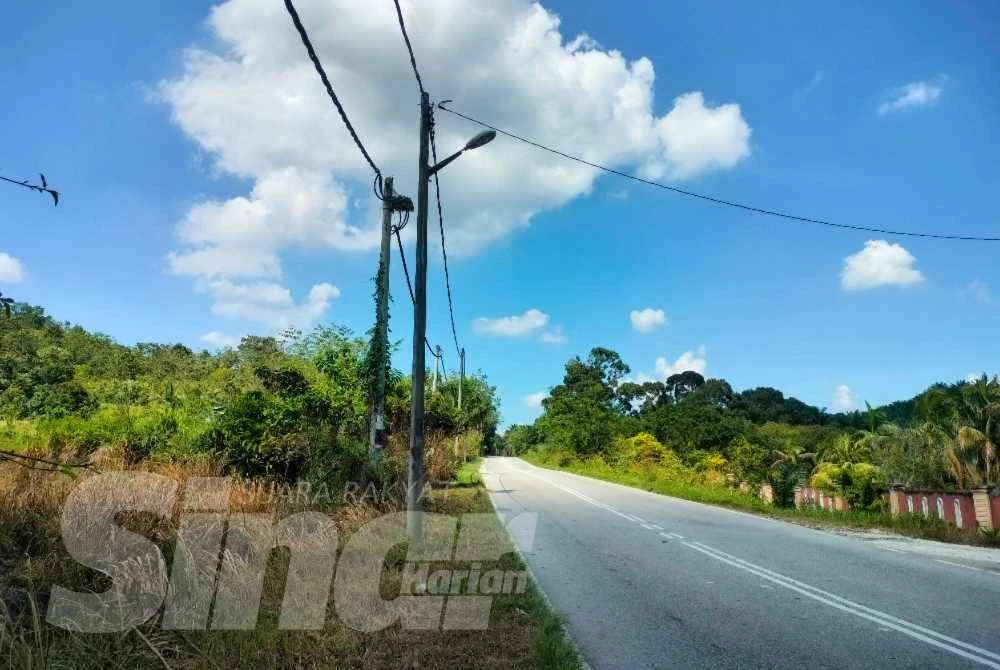 Jalan Mahang-Kulim yang dipercayai laluan harimau belang melintas.