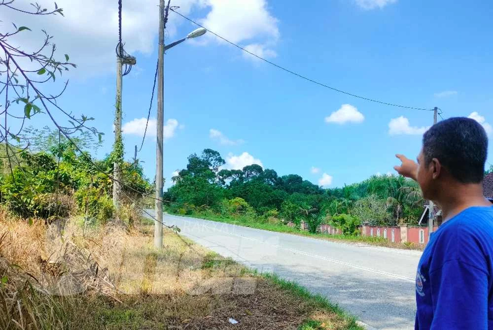 Aleayasak menunjukkan jalan yang didakwa kawasan di mana harimau melintas sekitar jam 2 pagi Isnin.