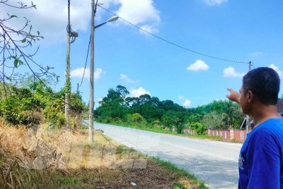 Aleayasak menunjukkan jalan yang didakwa kawasan di mana harimau melintas sekitar jam 2 pagi Isnin.