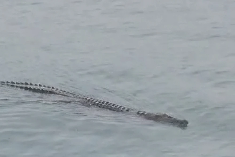 Mangsa diserang buaya ketika menjala di Kampung Sungai Buaya dekat Kampung Gajah, Sabtu lalu.