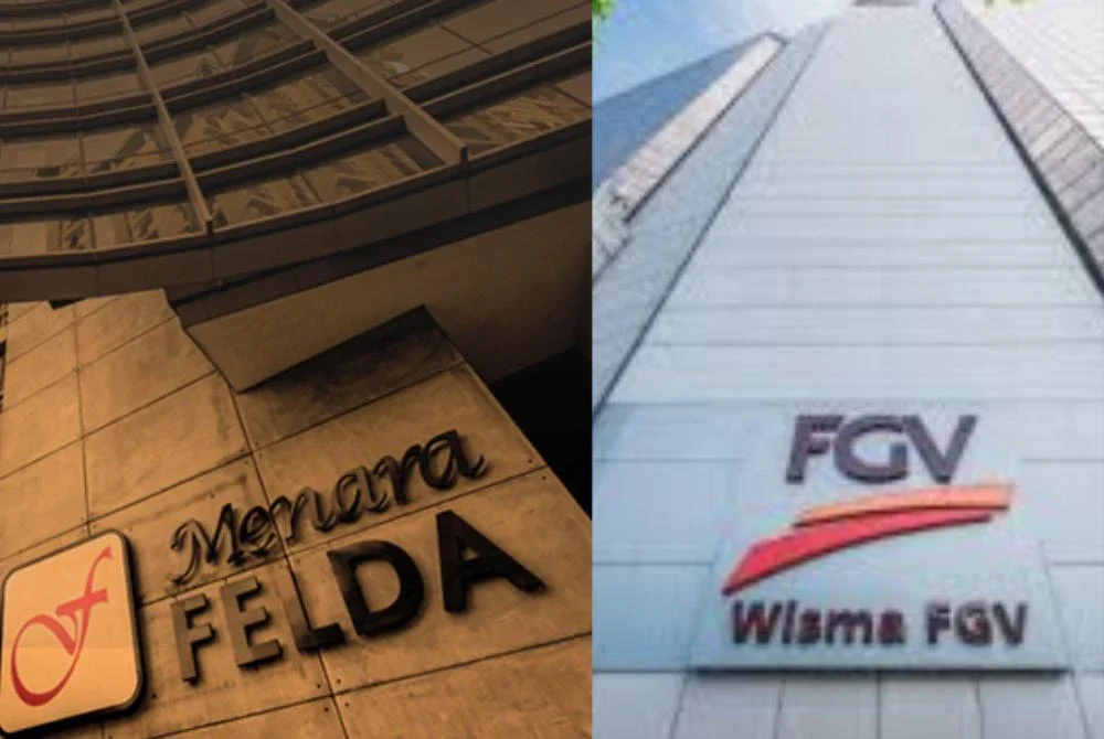 Felda dan FGV dalam kenyataan bersama pada Selasa memaklumkan, proses semakan itu merangkumi sejarah, rekod pembayaran, bayaran premium tanah, status hak milik dan syarat-syarat pembangunan ladang.