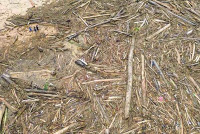 Video tular memaparkan longgokan kayu ketika banjir yang dipercayai berpunca daripada aktiviti pembalakan haram di Sumatera. - Foto Agensi