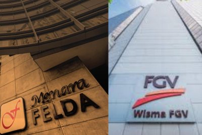 Felda dan FGV dalam kenyataan bersama pada Selasa memaklumkan, proses semakan itu merangkumi sejarah, rekod pembayaran, bayaran premium tanah, status hak milik dan syarat-syarat pembangunan ladang.