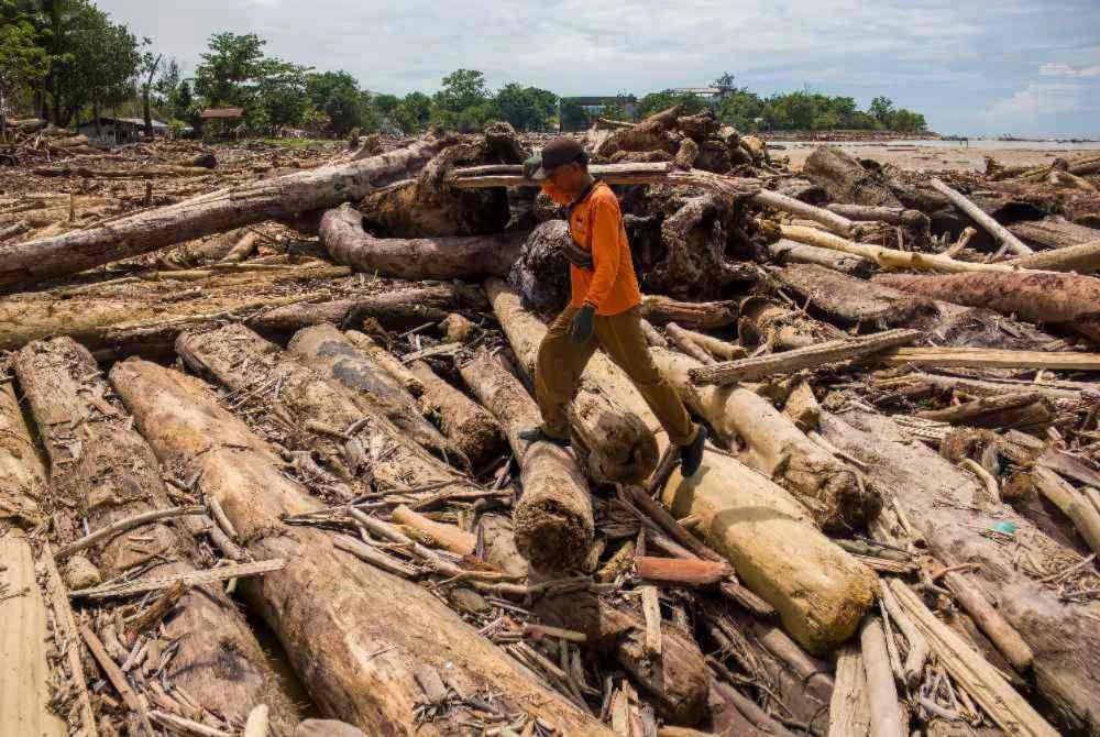 Petugas agensi alam sekitar cuba membersihkan timbunan kayu yang terdampar di Pantai Padang, Sumatera Barat, selepas dibawa arus banjir.
