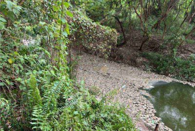 Ribuan ikan ditemui mati di Kolam D’ Island, Putra Perdana pada Isnin.