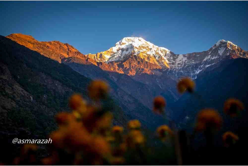 Pemandangan indah matahari terbit di puncak Annapurna.