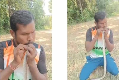 Vayad memberi bantuan CPR kepada haiwan itu yang terkena renjatan elektrik. - Foto Agensi