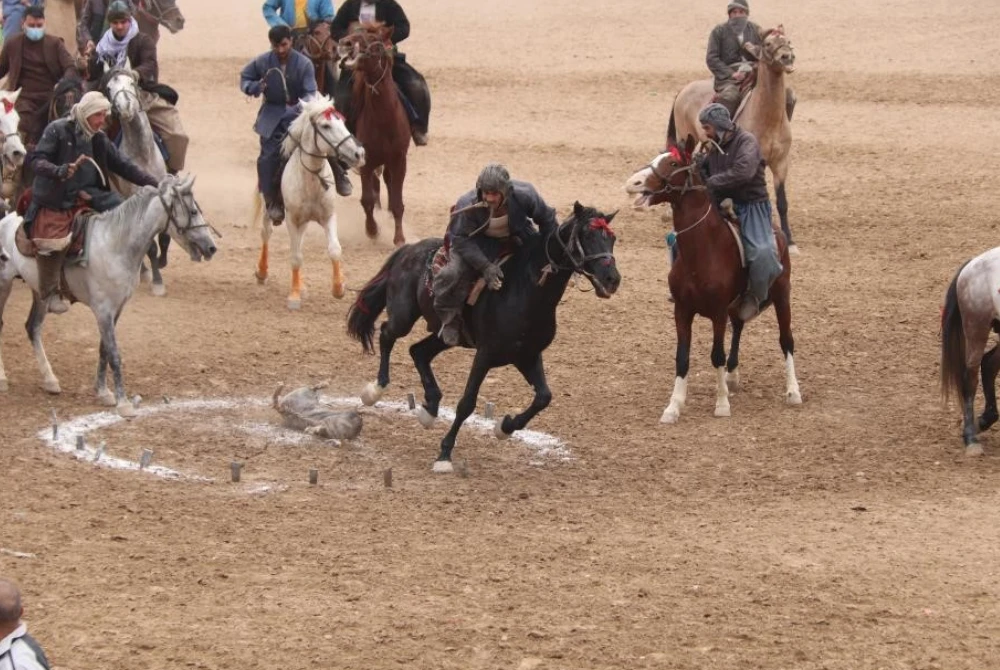 Buzkashi