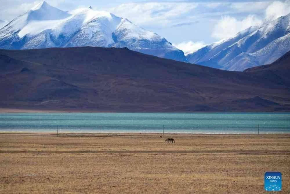 Dataran Tinggi Tibet (Chang Tang)