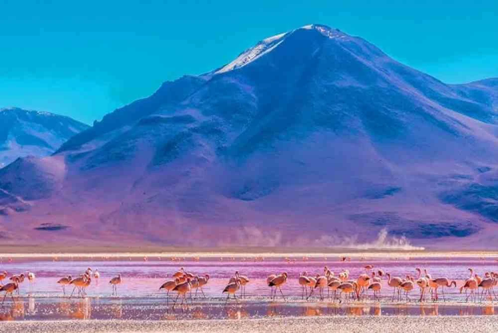 Altiplano Bolivia
