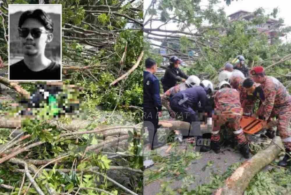 Muhammad Izzat Daanish (gambar kecil) maut selepas dihempap pokok tumbang ketika melalui Jalan Tun Razak–Ayer Keroh berhampiran Pangsapuri Polis Temenggong, Taman Sentosa, Bukit Baru pada Sabtu. 