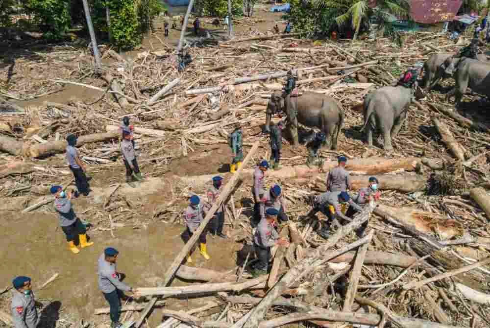 Gambar dari udara menunjukkan beberapa ekor gajah membersihkan kawasan yang terjejas pascabanjir Aceh.-Foto AFP