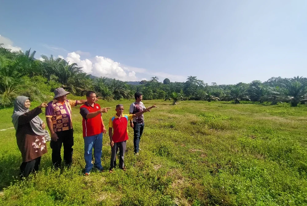 Sebahagian peneroka menunjukkan kawasan yang tidak dapat ditanam dengan kelapa sawit akibat serangan gajah.