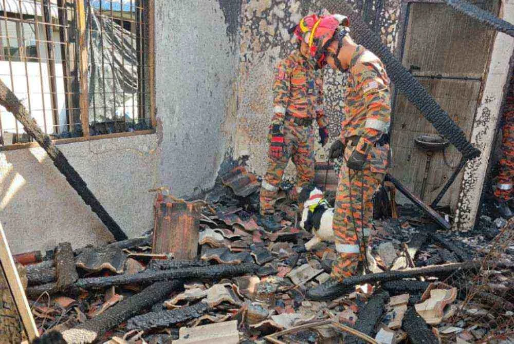 Pasukan forensik bersama Unit K9 sedang menjalankan siasatan di lokasi kejadian.
