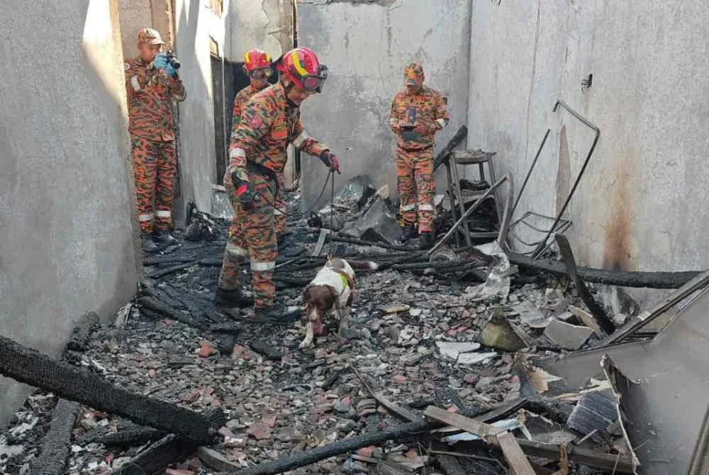 Pasukan forensik bersama Unit K9 sedang menjalankan siasatan di lokasi kejadian.