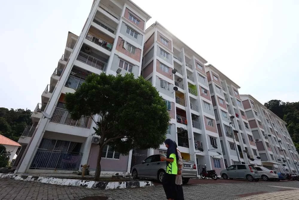 Projek PSN Pulau Pangkor dirangka khusus untuk menyediakan kediaman yang lebih teratur, selamat dan kondusif kepada komuniti nelayan. 