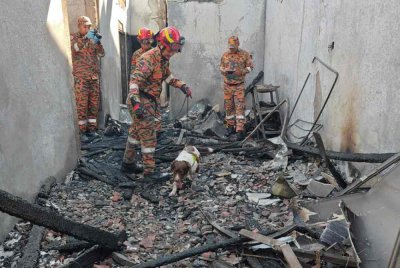 Pasukan forensik bersama Unit K9 sedang menjalankan siasatan di lokasi kejadian.