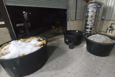 Botol berisi air ketum disimpan dalam tangki dipercayai bagi mengelabui mata pihak berkuasa. Foto FB BRIGED TENGGARA PGA