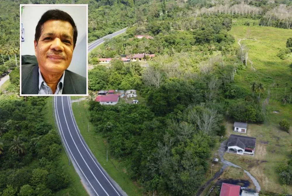 Gambar hiasan tanah kampung. Zahar (gambar kecil).