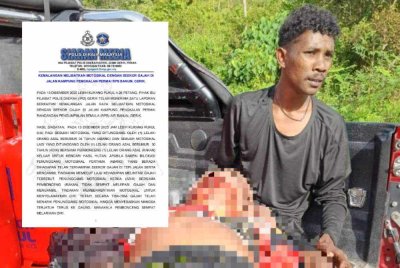 Mangsa yang cedera selepas ditarik gajah sehingga jatuh ke dalam gaung. Foto FB Ahli Parlimen Gerik