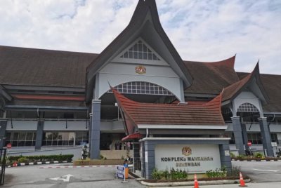 Fatin Nur Diana dijatuhi hukuman penjara tiga bulan dan diperintah menjalani khidmat masyarakat 120 jam di Mahkamah Sesyen Seremban pada Selasa.