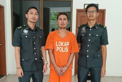 Tertuduh dipenjara 10 bulan selepas mengaku bersalah memiliki tanduk rusa di Mahkamah Sesyen Sandakan.