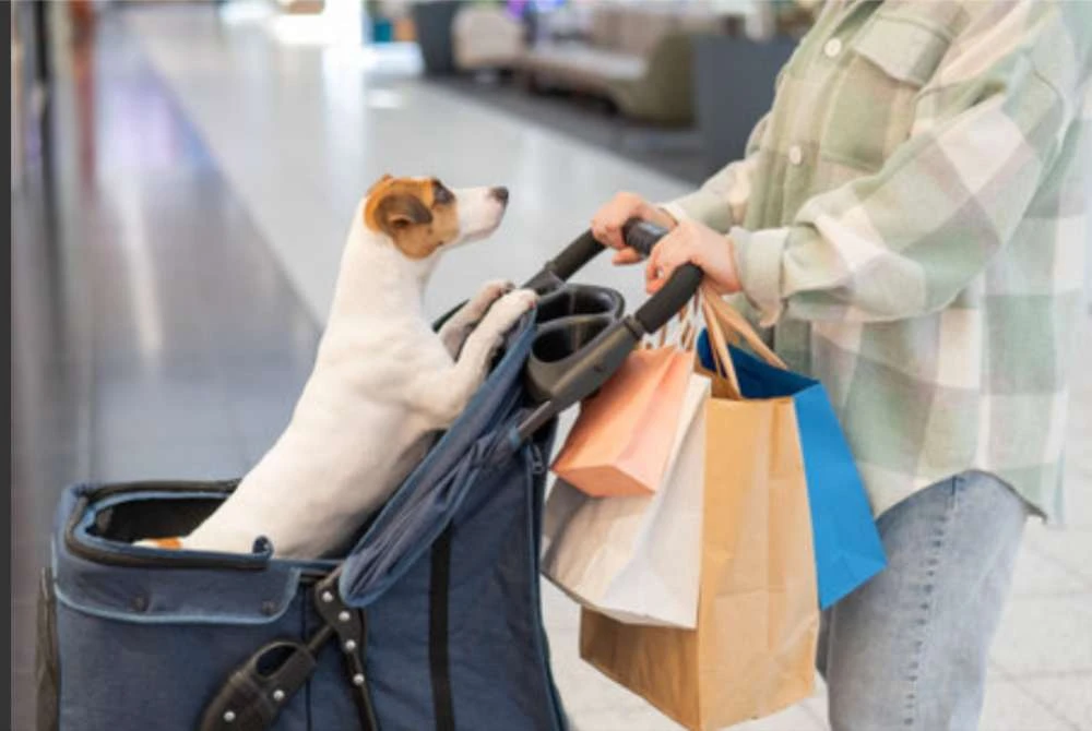 Isu membenarkan pengunjung membawa haiwan masuk ke dalam pusat membeli-belah mencetuskan kritikan. Gambar hiasan