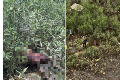 Polis mengesahkan penemuan mayat dipercayai lelaki di kawasan Sungai Bayu Puteri.
