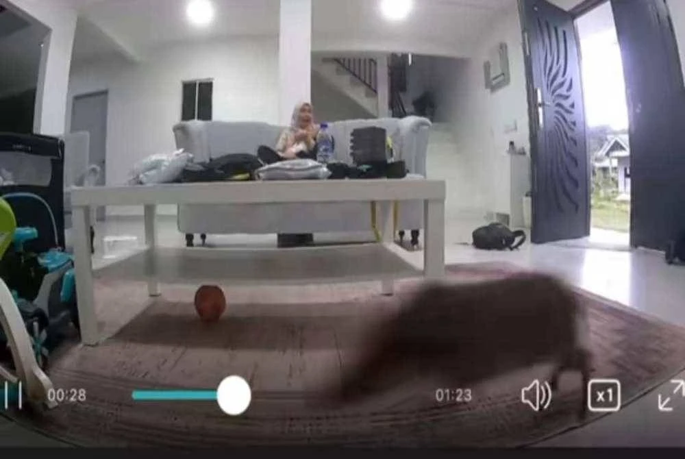 Tangkap layar sumber video daripada Tiktok milik Janatun 