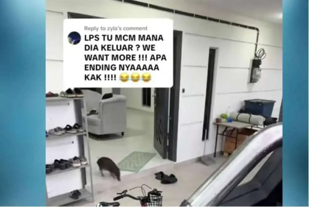 Tangkap layar sumber video daripada Tiktok milik Janatun