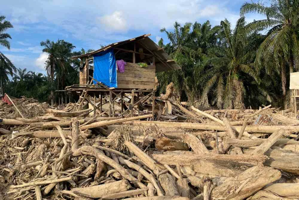 Pasca banjir di Aceh Tamiang menyaksikan ratusan ribu kayu yang hanyut ke kawasan kediaman penduduk. Foto Bernama