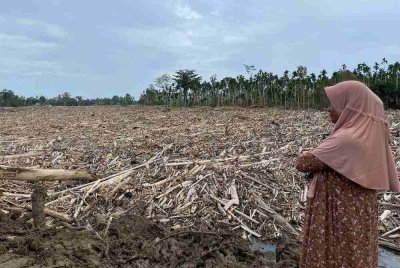 Penduduk Kampung Geudumbak, Mukim Langkahan, Aceh Utara hanya mampu memandang ke arah lautan kayu yang meranapkan rumah dan kebunnya. Foto Bernama
